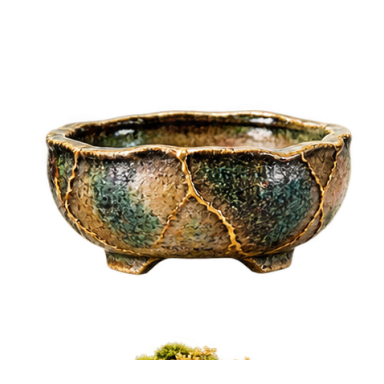 Golden Moss Bonsai symbol 4